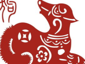 1982年属什么生肖,忠诚勇敢，命运多舛的狗年人生轨迹”