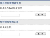 上海外来从业人员综合保险卡查询,便捷了解保障详情”
