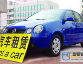 租车有哪些公司,多元化服务与车型选择