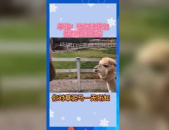 娱乐吃瓜群众2号,揭秘娱乐圈幕后故事