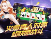 金堡娱乐,引领时尚娱乐新潮流