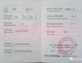 育婴师资格证,开启婴幼儿早期教育新篇章