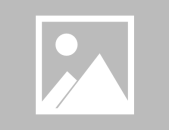 娱乐吃瓜小猫咪小说,小猫咪的娱乐圈冒险之旅