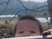 娱乐吃瓜酱喊男生宝宝,揭秘明星间的甜蜜互动