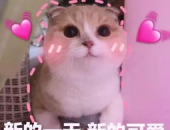 羊了羊娱乐吃瓜,揭秘娱乐圈吃瓜背后的真相